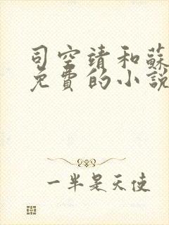 司空靖和苏月汐免费的小说笔趣阁