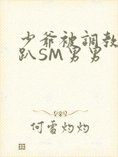 少爷被调教室跪趴SM男男