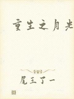 重生之月光少年