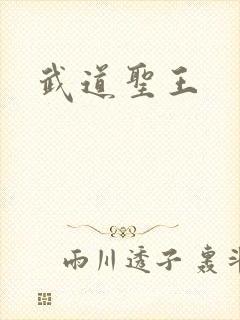 武道圣王