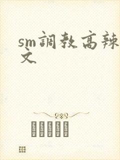 sm调教高辣h文