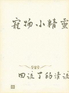 宠物小精灵漫画