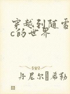 穿越到随处可以c的世界