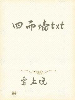 四面墙txt