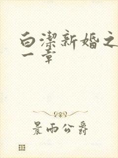 白洁新婚之夜第一章