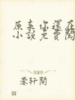 原来你还在这里小说免费阅读