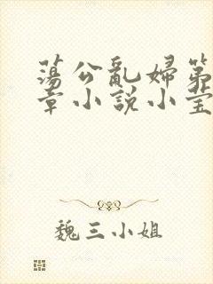 荡公乱妇第51章小说小莹