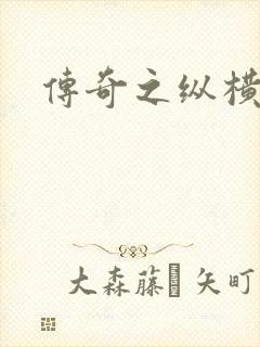 传奇之纵横玛法