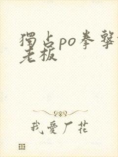 独占po拳击馆老板