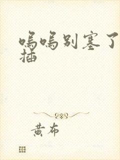 呜呜别塞了啊抽插