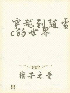 穿越到随处可以c的世界