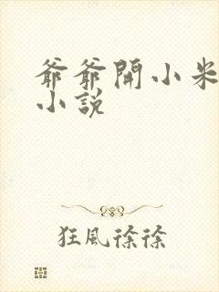 爷爷开小米的包小说