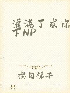 灌满了求你们停下NP