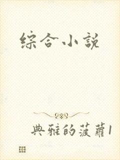 综合小说