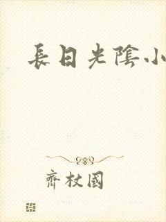 长日光阴小说