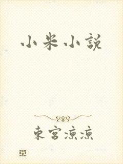小米小说