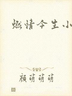 燃情今生小说