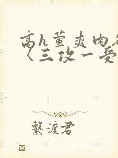 高h荤爽肉欲文〈三攻一受