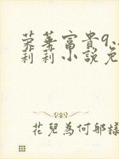 荣华富贵9小王莉莉小说免费阅读