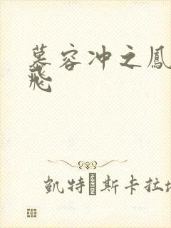 慕容冲之凤凰于飞