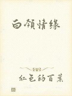 白领情缘