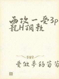 两攻一受3p双龙H调教
