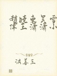 赵晓东吴雪晴郑伟王潇潇小说