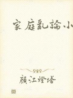 家庭乱论小说