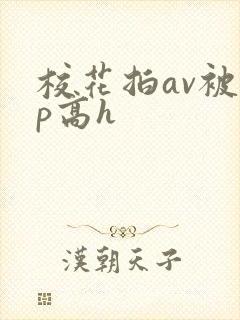 校花拍av被np高h