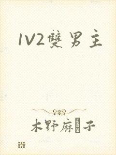 1V2双男主