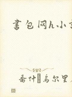 书包网h小说