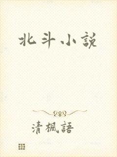 北斗小说