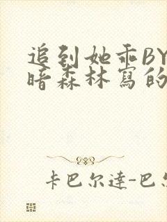 追到她乖BY黑暗森林写的小说