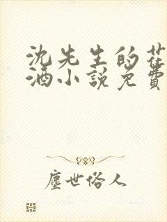 沈先生的花式调酒小说免费阅读