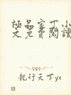 极品家丁小说全文免费阅读