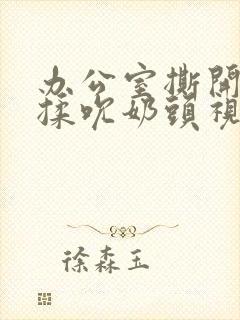 办公室撕开奶罩揉吮奶头视频