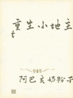 重生小地主txt