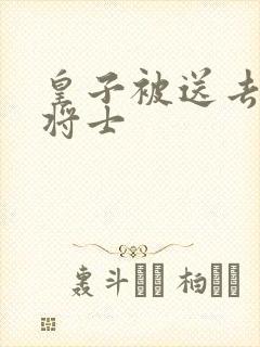 皇子被送去犒劳将士