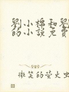 刘小棉和刘易文的小说免费阅读