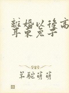 离婚以后高干 耳东兔子