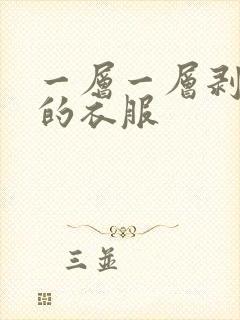 一层一层剥开我的衣服