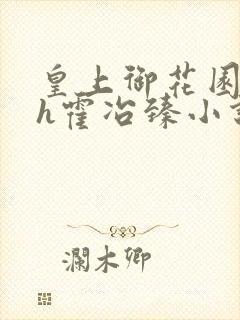 皇上御花园hlh霍冶臻小说