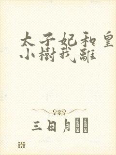 太子妃和皇上在小树我离