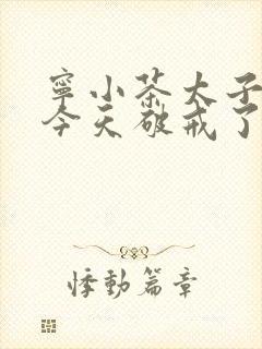 宁小茶太子殿下今天破戒了吗免费阅读