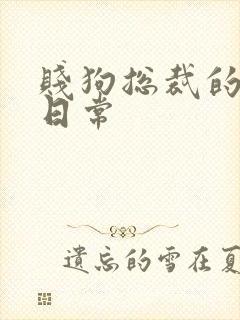 贱狗总裁的私教日常