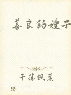 善良的嫂子小说