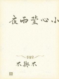 夜雨莹心小说