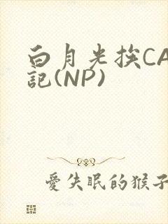 白月光挨CAO记(NP)