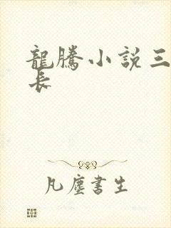 龙腾小说三宝局长