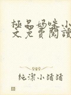 极品妈咪小说全文免费阅读